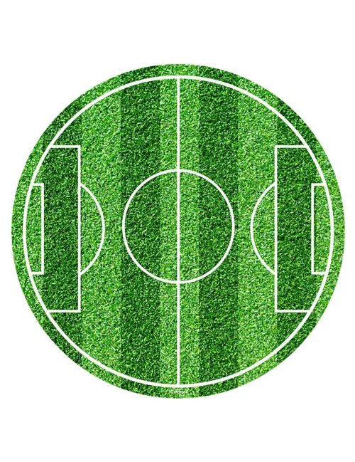 Photo du produit Disque en sucre terrain de foot