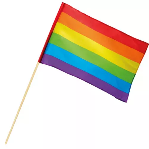 Photo du produit Drapeau Arc-en-ciel 30 X 45 cm