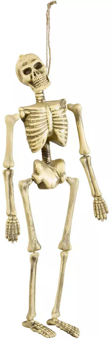 Photo du produit Faux squelette pendu 40 cm Halloween