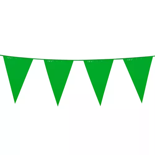 Photo du produit Guirlande à fanions verts 10m