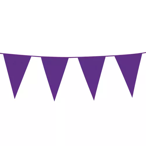 Photo du produit Guirlande à fanions violets 10m