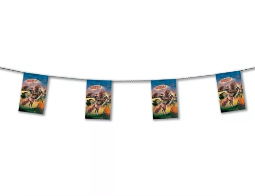 Photo du produit Guirlande fanions en papier Country 4 mètres