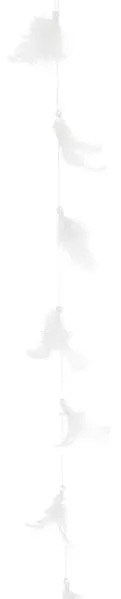 Photo du produit Guirlande plume Blanche