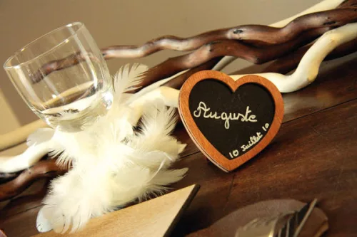 Photo du produit Guirlande plume Blanche