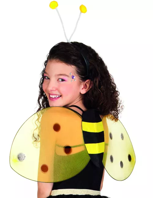 Photo du produit Kit ailes et serre-tête abeille