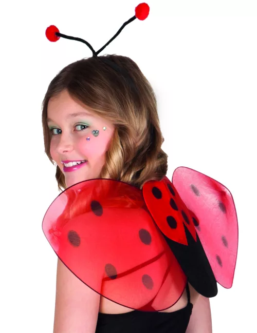 Photo du produit Kit ailes et serre-tête coccinelle