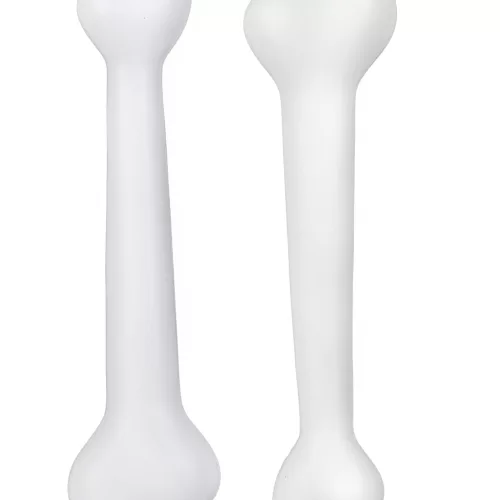 Photo du produit Kit deux os préhistoriques
