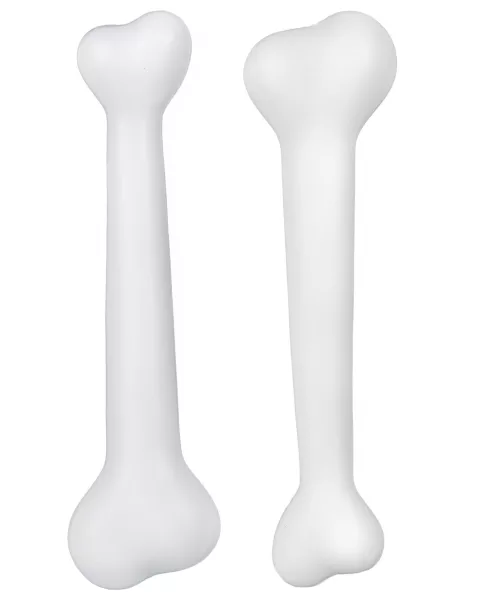 Photo du produit Kit deux os préhistoriques