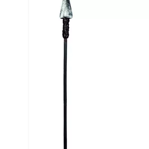 Photo du produit Lance gladiateur 150 cm