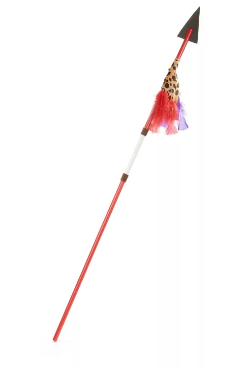 Photo du produit Lance indien en plastique 110 cm