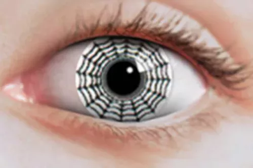 Photo du produit Lentilles fantaisie toile d'araignée noire et blanche adulte Halloween