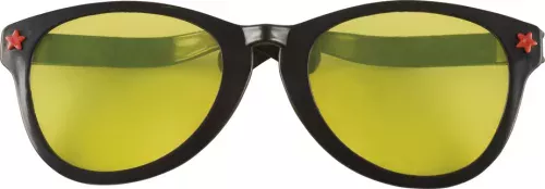 Photo du produit Lunettes géantes noires adulte