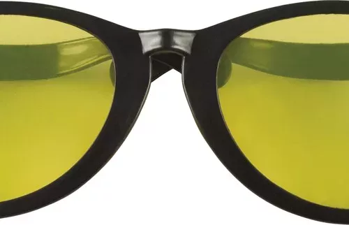 Photo du produit Lunettes géantes noires adulte