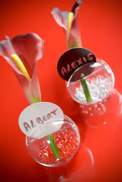 Photo du produit 10 Marque-places carton Blanc