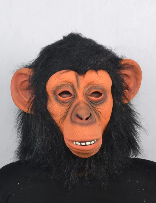 Photo du produit Masque de singe adulte