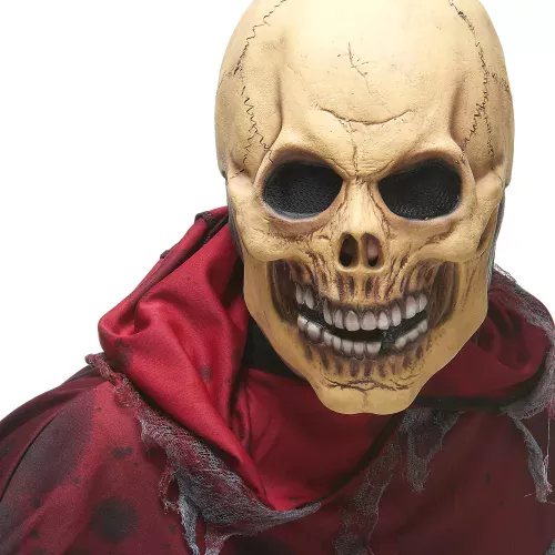 Photo du produit Masque latex crâne effrayant adulte