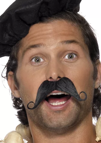 Photo du produit Moustache à la francaise adulte