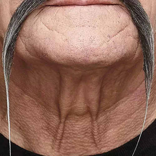Photo du produit Moustache chinoise grise adulte