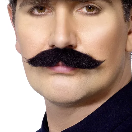 Photo du produit Moustache agent de police anglais adulte