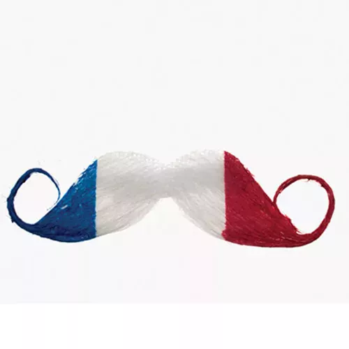 Photo du produit Moustache supporter France adulte