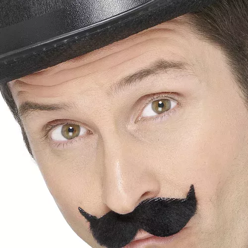 Photo du produit Moustaches à l'anglaise adulte