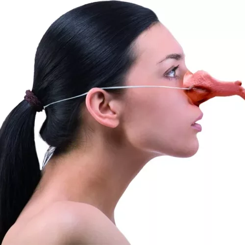 Photo du produit Nez crochu sorcière adulte Halloween