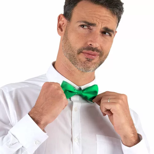 Photo du produit Noeud papillon vert adulte