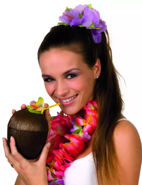 Photo du produit Noix de coco Hawaï