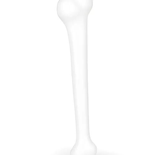 Photo du produit Os 40 cm