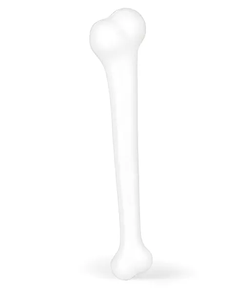 Photo du produit Os 40 cm
