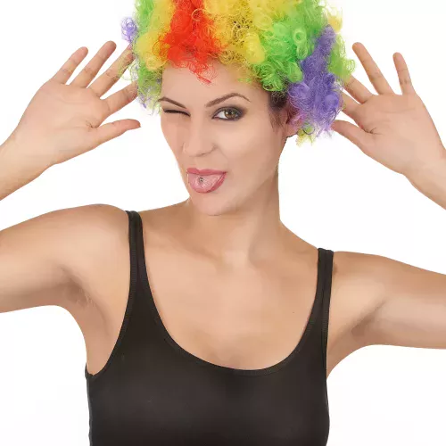 Photo du produit Perruque afro multicolore clown adulte