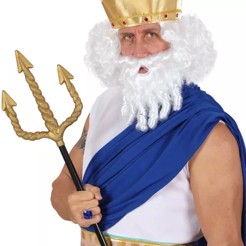 Photo du produit Perruque blanche dieu de la mer homme