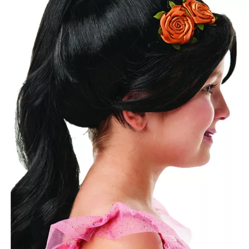 Photo du produit Perruque Elena D'Avalor enfant