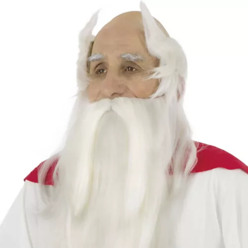Photo du produit Perruque et barbe druide Panoramix - Astérix et Obélix