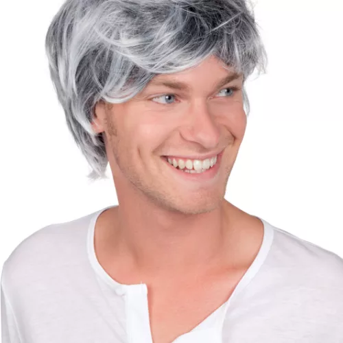 Photo du produit Perruque grisonnante homme