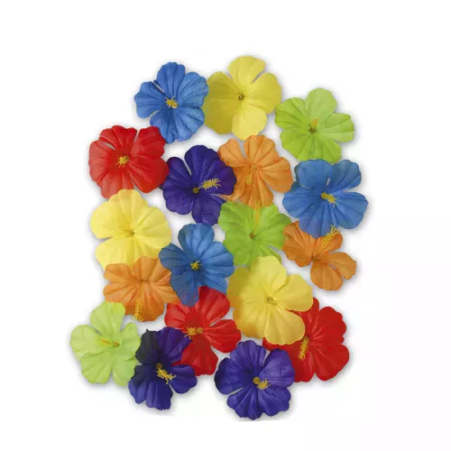 Photo du produit Fleurs multicolores