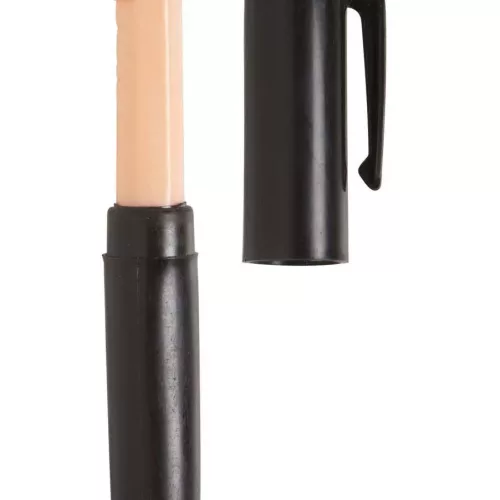 Photo du produit Stylo zizi