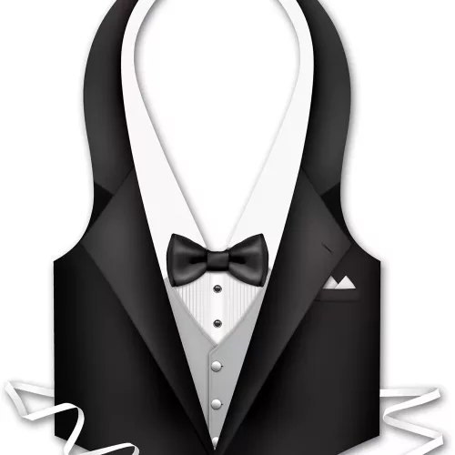 Photo du produit Tablier plastique homme serveur