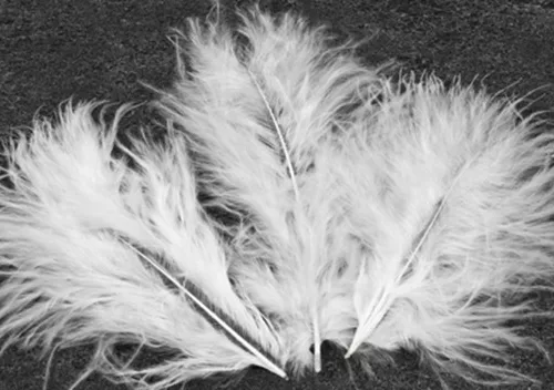 Photo du produit 20 Plumes de décoration blanches