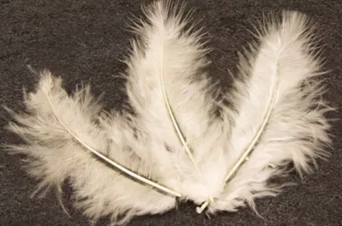 Photo du produit 20 Plumes de décoration ivoire