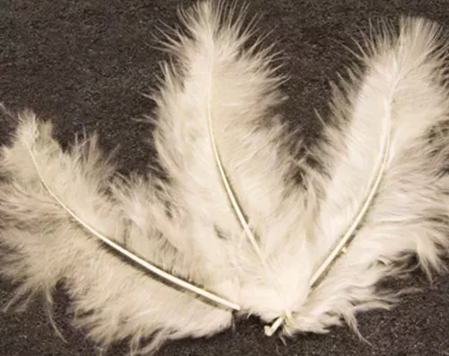 Photo du produit 20 Plumes de décoration ivoire