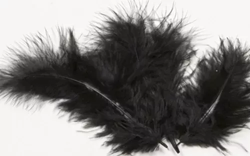 Photo du produit 20 plumes de décoration noires