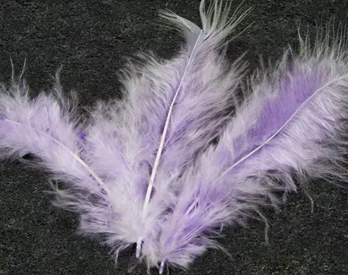 Photo du produit 20 Plumes de décoration parme