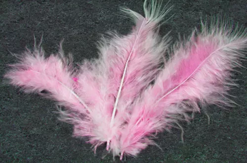 Photo du produit 20 Plumes de décoration roses