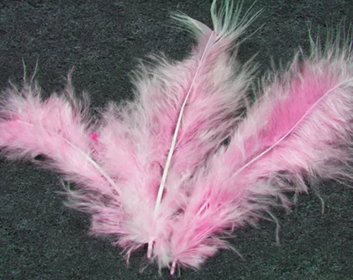 Photo du produit 20 Plumes de décoration roses