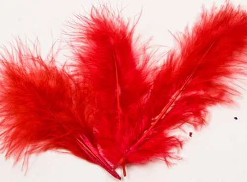 Photo du produit 20 Plumes de décoration rouges