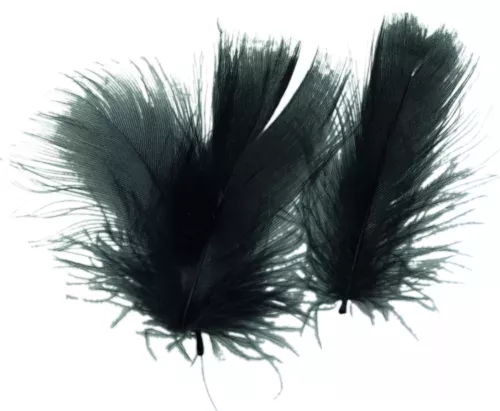 Photo du produit Plumettes noires