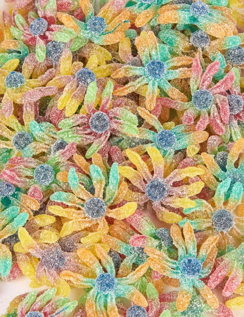Photo du produit Sachet bonbons poulpes 1 kg