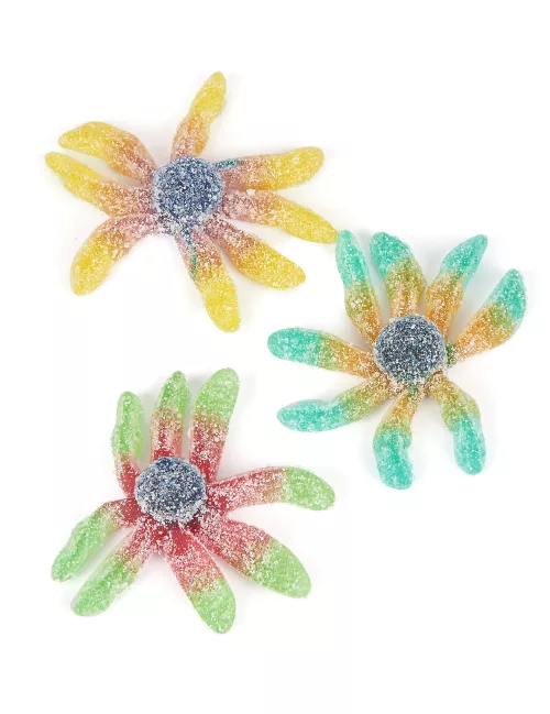 Photo du produit Sachet bonbons poulpes 1 kg