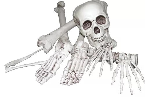 Photo du produit Sac d'os 8 pièces Halloween